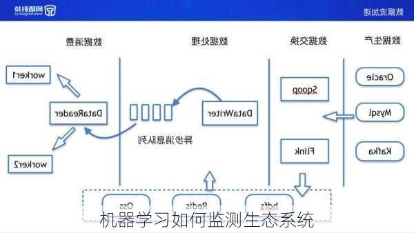 机器学习如何监测生态系统